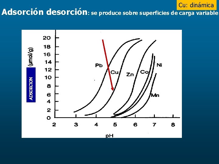 Cu: dinámica ADSORCION Adsorción desorción: se produce sobre superficies de carga variable 