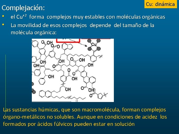 Cu: dinámica Complejación: • el Cu+2 forma complejos muy estables con moléculas orgánicas •