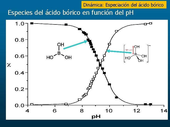 Dinámica: Especiación del ácido bórico Especies del ácido bórico en función del p. H
