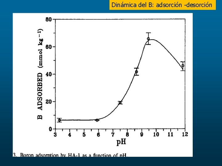 Dinámica del B: adsorción -desorción 