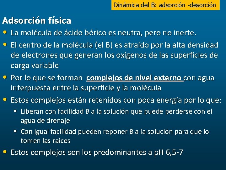 Dinámica del B: adsorción -desorción Adsorción física • La molécula de ácido bórico es