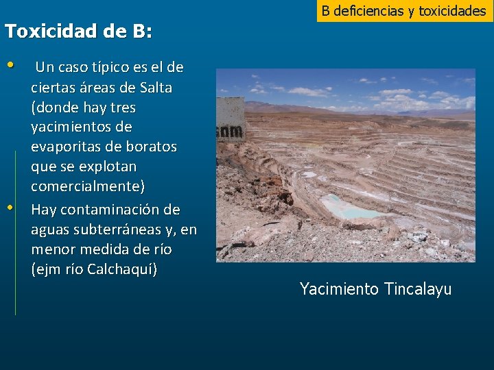 Toxicidad de B: B deficiencias y toxicidades • Un caso típico es el de
