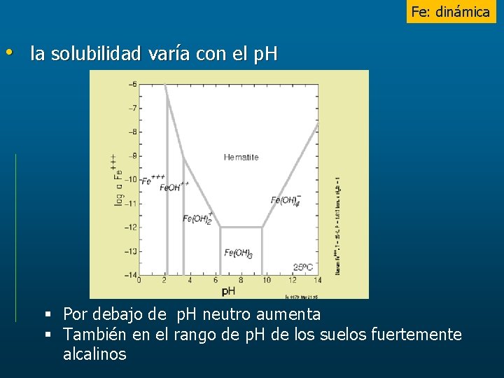 Fe: dinámica • la solubilidad varía con el p. H § Por debajo de