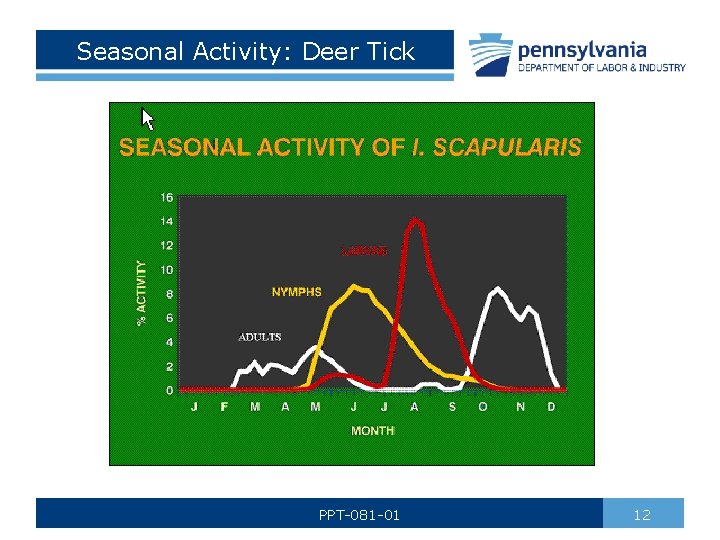 Seasonal Activity: Deer Tick PPT-081 -01 12 