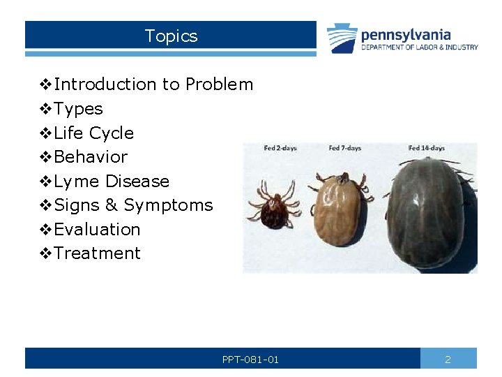 Topics v. Introduction to Problem v. Types v. Life Cycle v. Behavior v. Lyme
