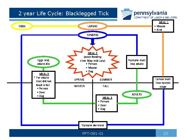 2 year Life Cycle: Blacklegged Tick EGGS MEAL 1 • Mouse • Bird LARVAE