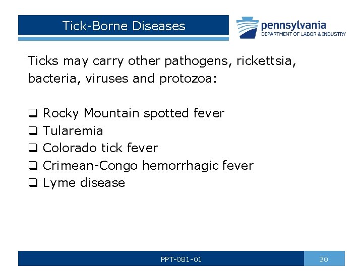 Tick-Borne Diseases Ticks may carry other pathogens, rickettsia, bacteria, viruses and protozoa: q q