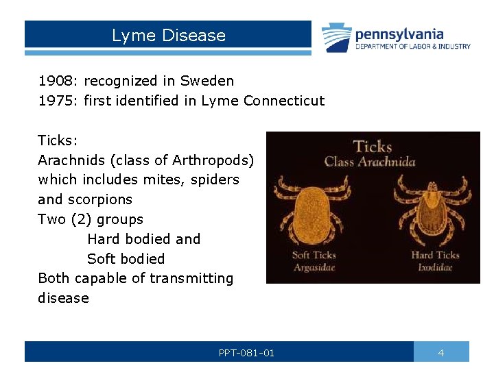 Lyme Disease 1908: recognized in Sweden 1975: first identified in Lyme Connecticut Ticks: Arachnids