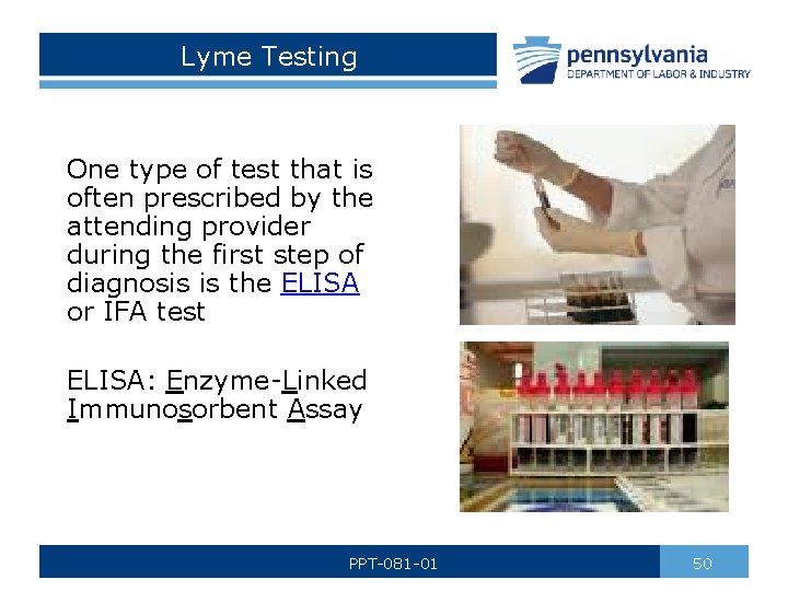 Lyme Testing One type of test that is often prescribed by the attending provider