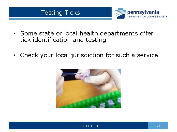 Testing Ticks • Some state or local health departments offer tick identification and testing