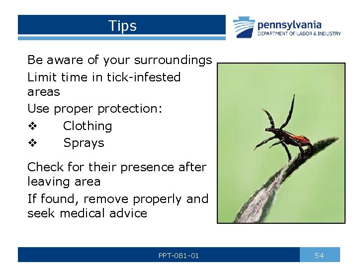 Tips Be aware of your surroundings Limit time in tick-infested areas Use proper protection: