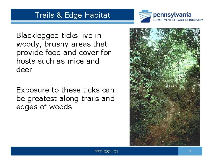 Trails & Edge Habitat Blacklegged ticks live in woody, brushy areas that provide food