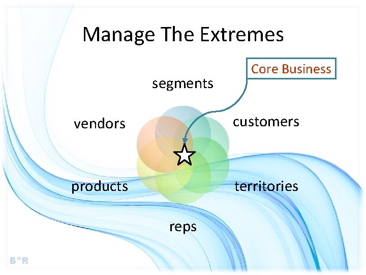 Manage The Extremes segments vendors customers products territories reps B R Core Business 