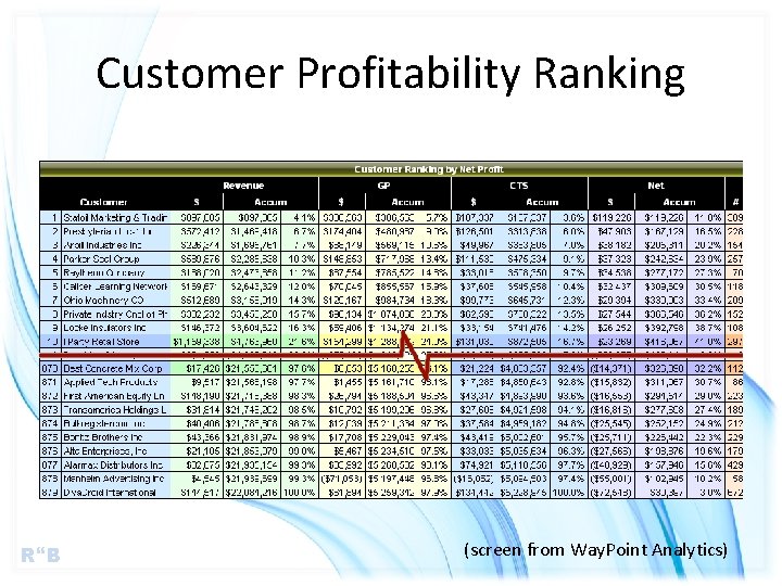 Customer Profitability Ranking R B (screen from Way. Point Analytics) 