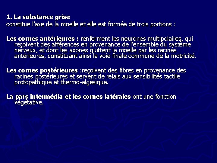 1. La substance grise constitue l'axe de la moelle et elle est formée de