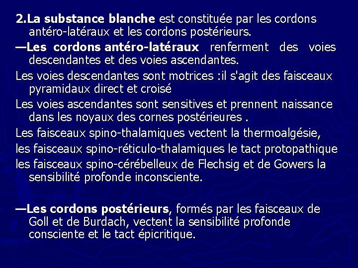 2. La substance blanche est constituée par les cordons antéro-latéraux et les cordons postérieurs.