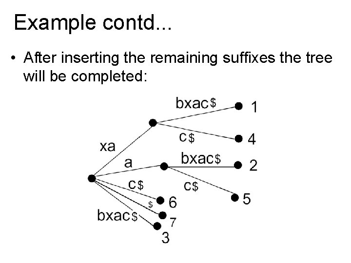 Example contd. . . • After inserting the remaining suffixes the tree will be