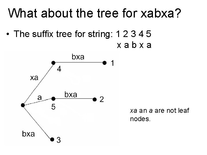 What about the tree for xabxa? • The suffix tree for string: 1 2