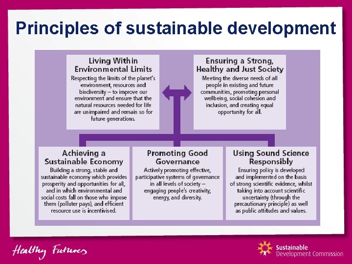 Principles of sustainable development 