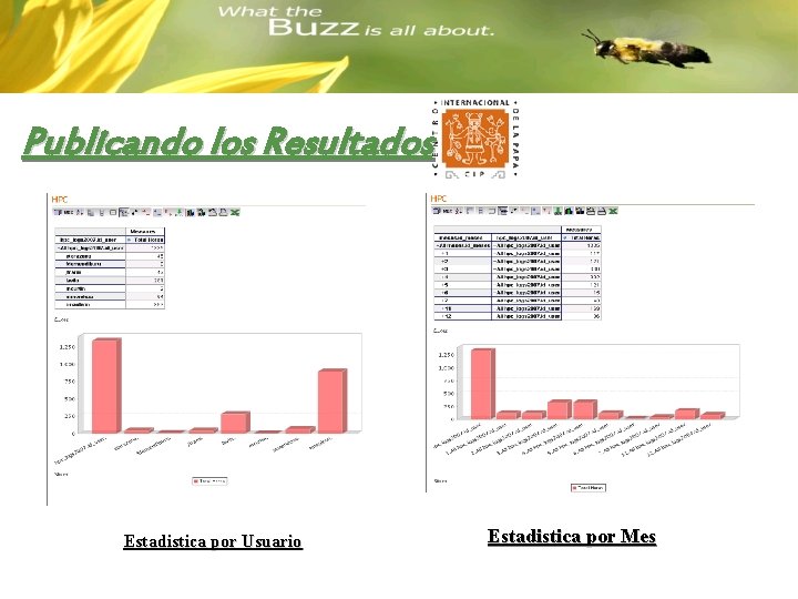 Publicando los Resultados Estadistica por Usuario Estadistica por Mes 