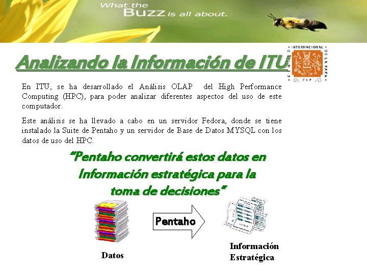 Analizando la Información de ITU En ITU, se ha desarrollado el Análisis OLAP del