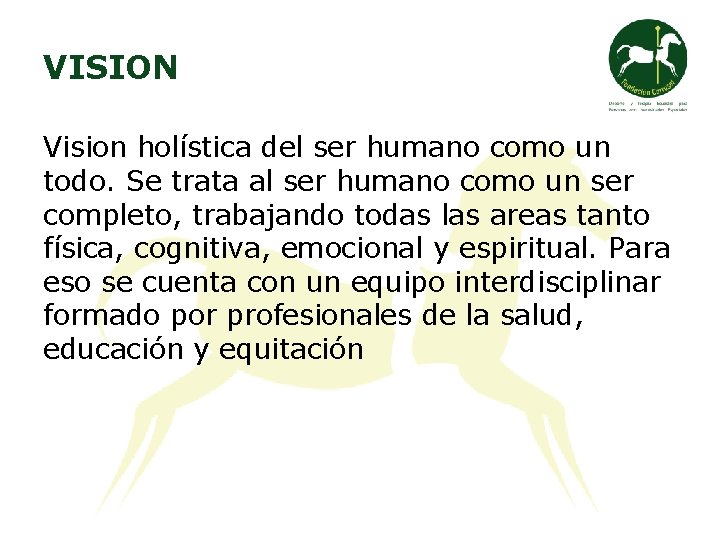 VISION Vision holística del ser humano como un todo. Se trata al ser humano