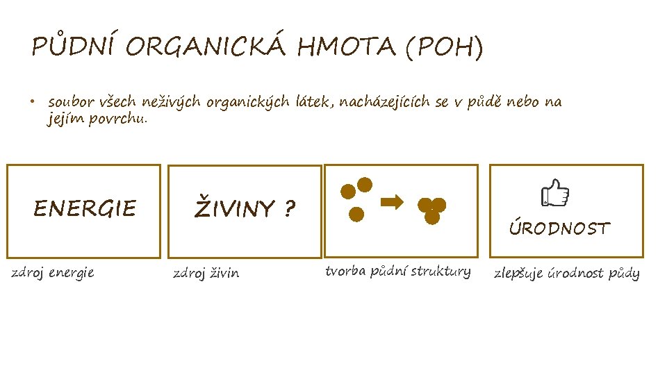 PŮDNÍ ORGANICKÁ HMOTA (POH) • soubor všech neživých organických látek, nacházejících se v půdě