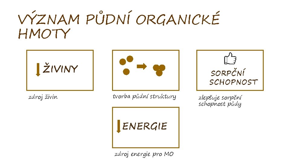 VÝZNAM PŮDNÍ ORGANICKÉ HMOTY ŽIVINY zdroj živin SORPČNÍ SCHOPNOST tvorba půdní struktury ENERGIE zdroj