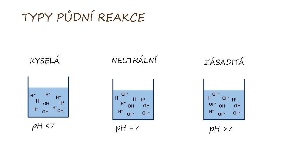 TYPY PŮDNÍ REAKCE KYSELÁ H+ H+ H+ OHH+ + H+ OH- H+ p. H