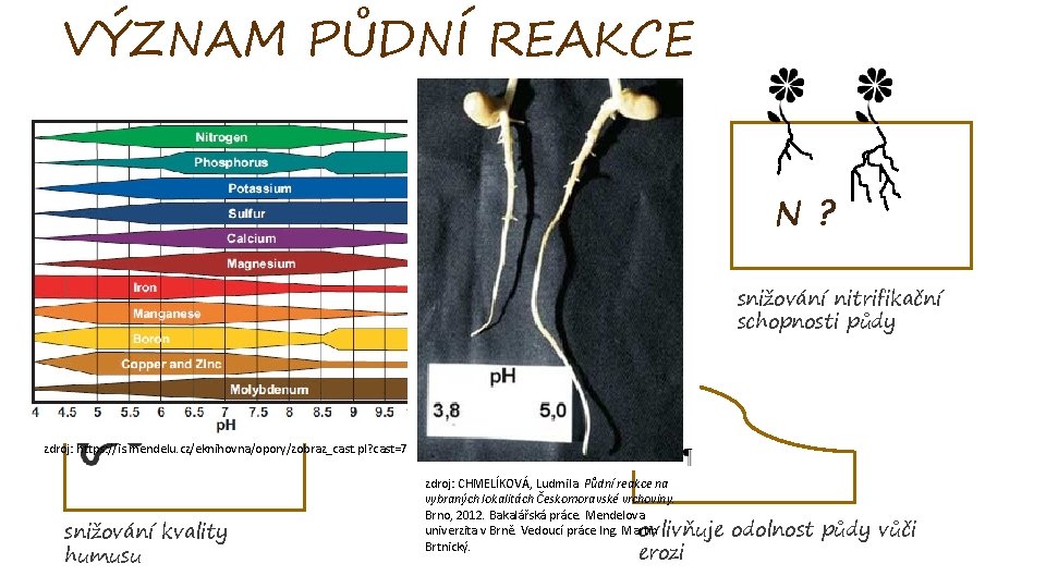 VÝZNAM PŮDNÍ REAKCE ŽIVINY ? vliv na dostupnost živin v půdě N? poškození kořenů