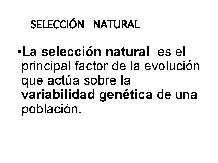 SELECCIÓN NATURAL • La selección natural es el principal factor de la evolución que