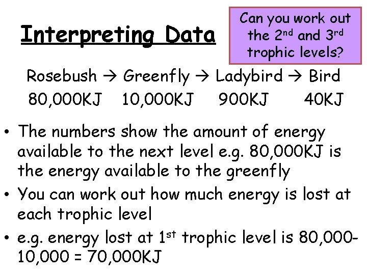 Interpreting Data Can you work out the 2 nd and 3 rd trophic levels?