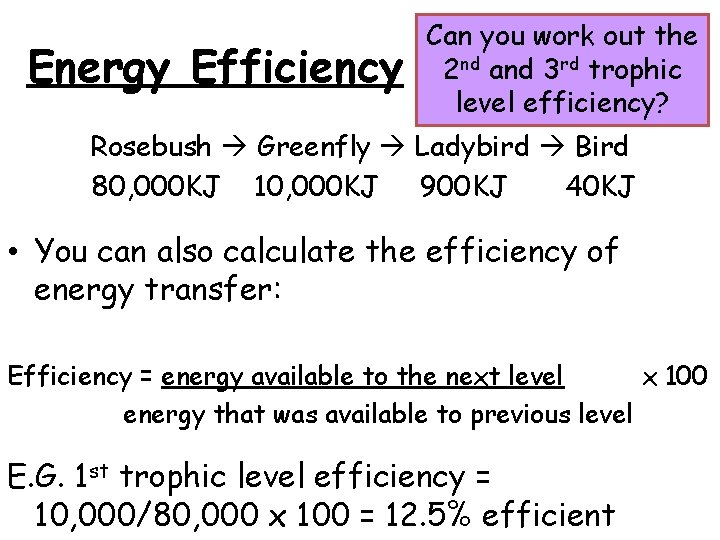 Energy Efficiency Can you work out the 2 nd and 3 rd trophic level