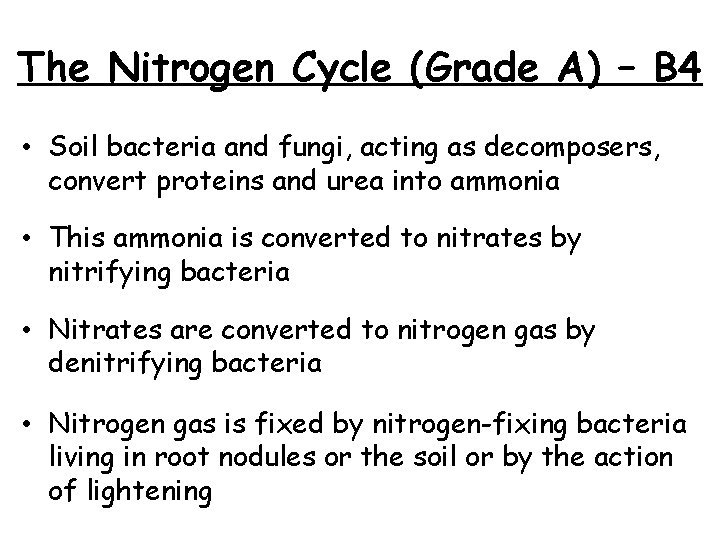 The Nitrogen Cycle (Grade A) – B 4 • Soil bacteria and fungi, acting