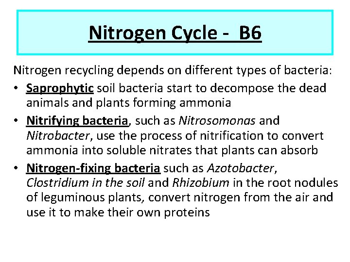 Nitrogen Cycle - B 6 Nitrogen recycling depends on different types of bacteria: •