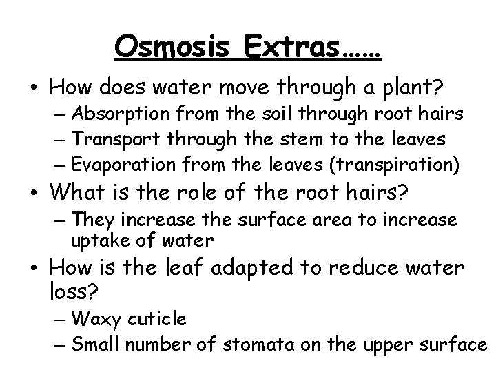 Osmosis Extras…… • How does water move through a plant? – Absorption from the