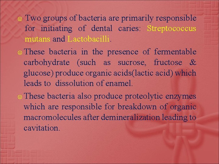 ☺ Two groups of bacteria are primarily responsible for initiating of dental caries: Streptococcus