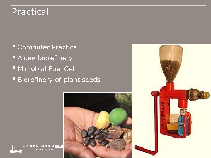 Practical § Computer Practical § Algae biorefinery § Microbial Fuel Cell § Biorefinery of