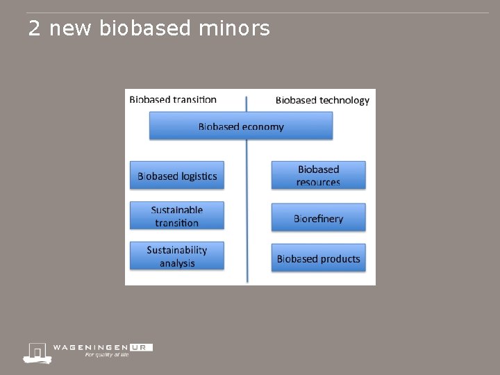 2 new biobased minors 
