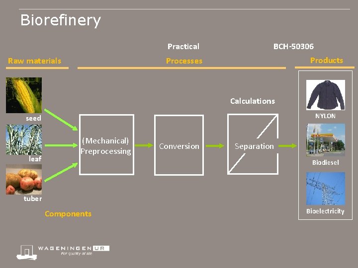 Biorefinery Practical Raw materials BCH-50306 Products Processes Calculations NYLON seed leaf (Mechanical) Preprocessing Conversion