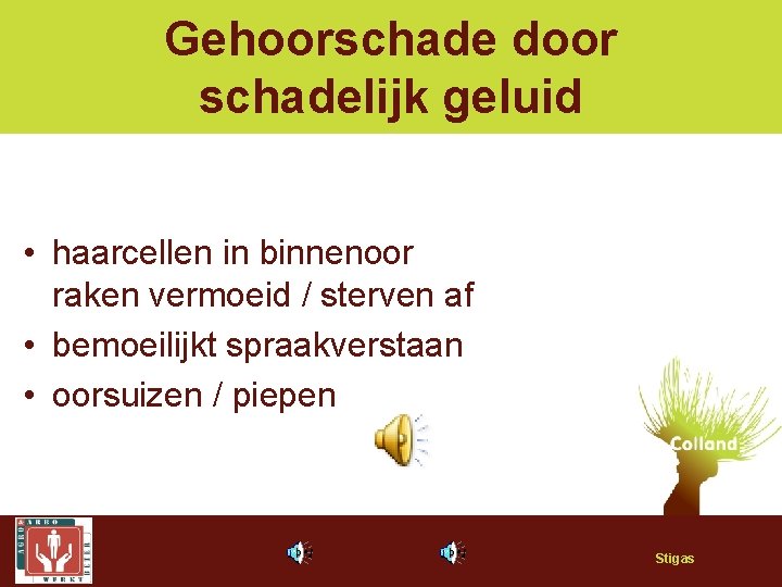 Gehoorschade door schadelijk geluid • haarcellen in binnenoor raken vermoeid / sterven af •