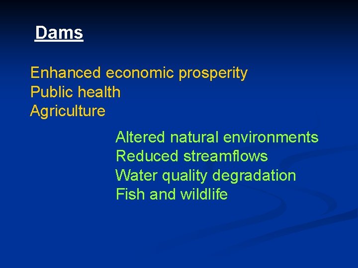 Dams Enhanced economic prosperity Public health Agriculture Altered natural environments Reduced streamflows Water quality