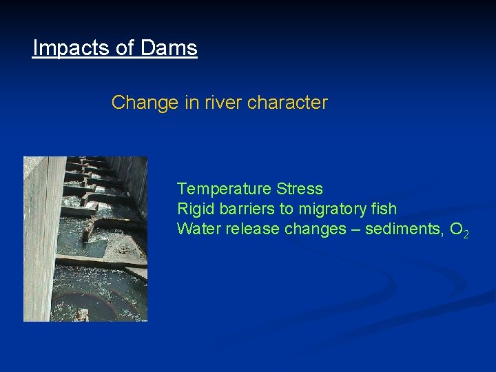Impacts of Dams Change in river character Temperature Stress Rigid barriers to migratory fish