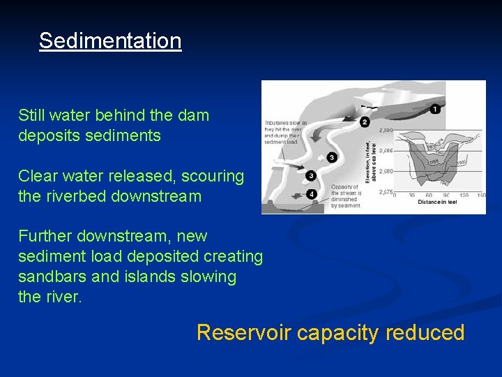 Sedimentation Still water behind the dam deposits sediments Clear water released, scouring the riverbed