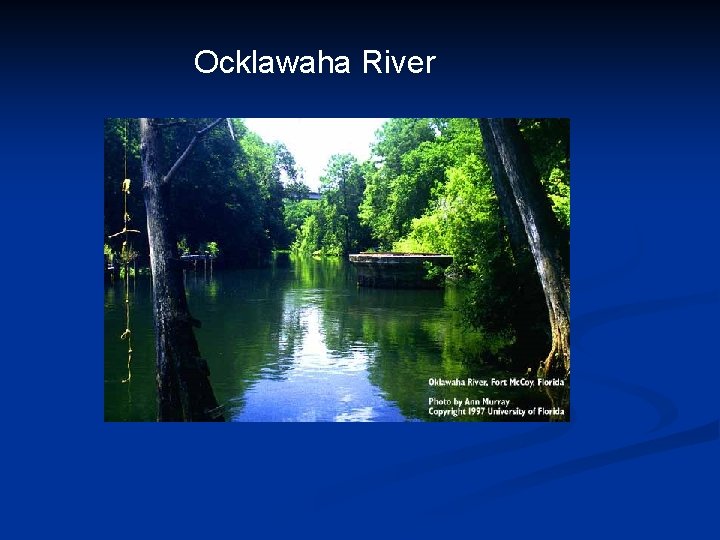 Ocklawaha River 