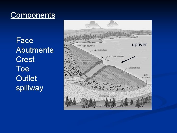 Components Face Abutments Crest Toe Outlet spillway upriver 