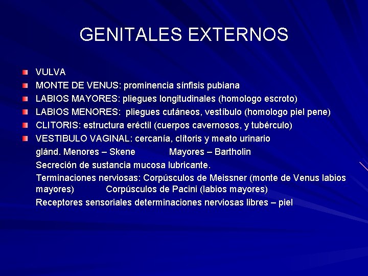 GENITALES EXTERNOS VULVA MONTE DE VENUS: prominencia sínfisis pubiana LABIOS MAYORES: pliegues longitudinales (homologo