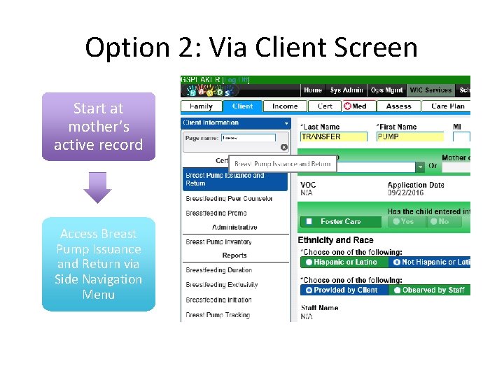 Option 2: Via Client Screen Start at mother’s active record Access Breast Pump Issuance