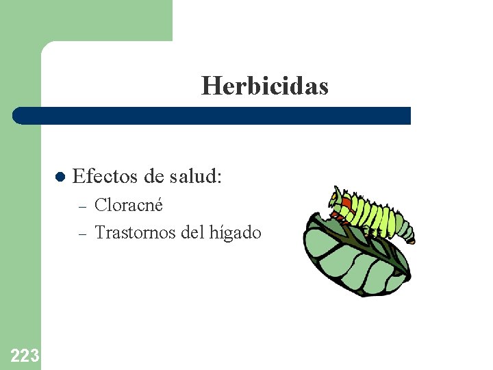 Herbicidas l Efectos de salud: – – 223 Cloracné Trastornos del hígado 