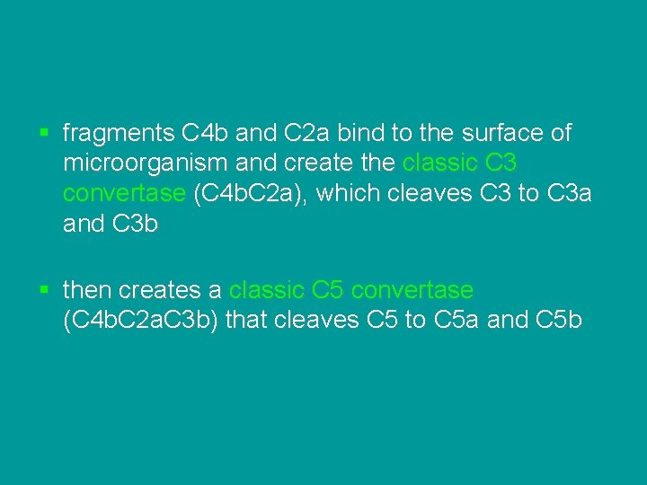 § fragments C 4 b and C 2 a bind to the surface of